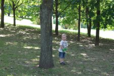 3-IMG_9232.JPG