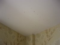 Спальня 2 ржавчина Приёмка квартиры январь 2014 094_resize.jpg