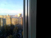 IMG_20140126_095606_sw.jpg