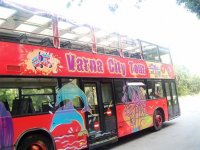 DVCI0381.jpg