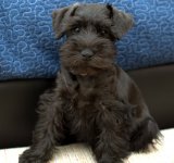 DSC_4393.NEF.jpg