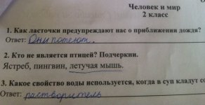 BVnUc_rt0NM.jpg