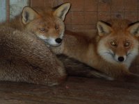 март 2014 087-1.jpg