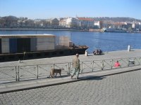 IMG_7140.JPG