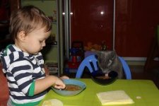 обед с плюшей.jpg