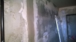 WP_20140411_002.jpg