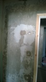 WP_20140411_003.jpg