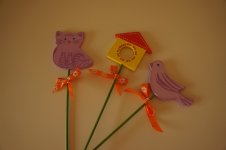 DSC07428_3.jpg