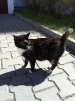 IMG_0739.jpg