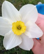 IMG_0649.jpg