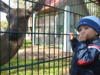 IMG_0152.jpg