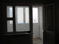 IMG_7631.jpg