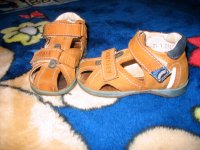 IMG_2292.jpg