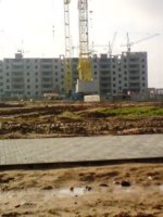 DSC00697.JPG