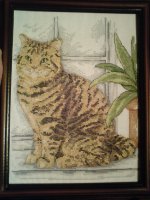 Кот.JPG