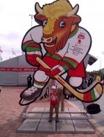 IMAG0817.jpg