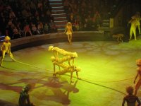IMG_7124.JPG