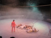IMG_7276.JPG