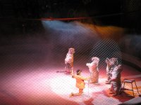 IMG_7280.JPG
