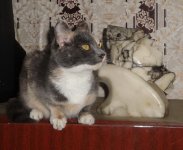 masya (4).JPG