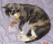 masya (5).JPG