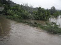 Копия SDC11903.JPG