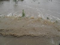 Копия SDC11904.JPG