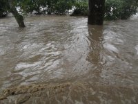 Копия SDC11906.JPG