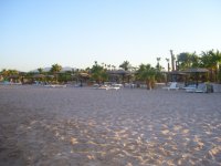 Копия 100_8417.JPG