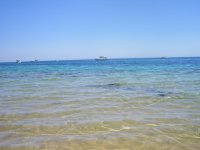 Копия 100_8481.JPG