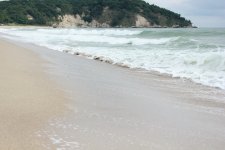 IMG_2347.JPG