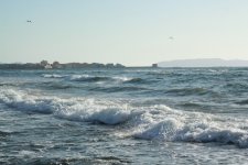 IMG_8817.jpg
