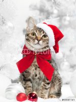 fotolia_56581141.jpg