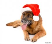 fotolia_68443108.jpg