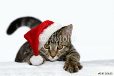 fotolia_69126488.jpg