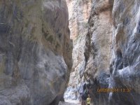 IMG_5663.JPG