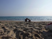 DSCI1114_новый размер.JPG