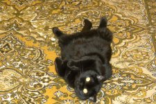 DSCN7811.jpg