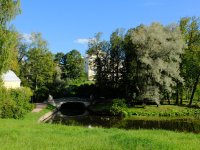 DSCF2516 1.jpg