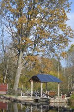 DSC_1378.JPG