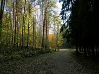 IMG_3167.JPG