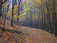 IMG_3105.JPG