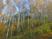 IMG_3148.JPG