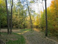 IMG_3183.JPG