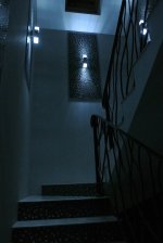 DSC_1504.JPG