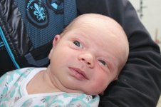 3009_005_новый размер.JPG