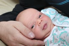 3009_009_новый размер.JPG