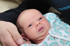 3009_011_новый размер.JPG