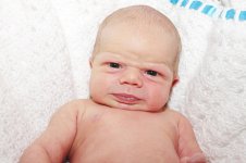 3009_060_новый размер.JPG