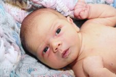 3009_097_новый размер.JPG